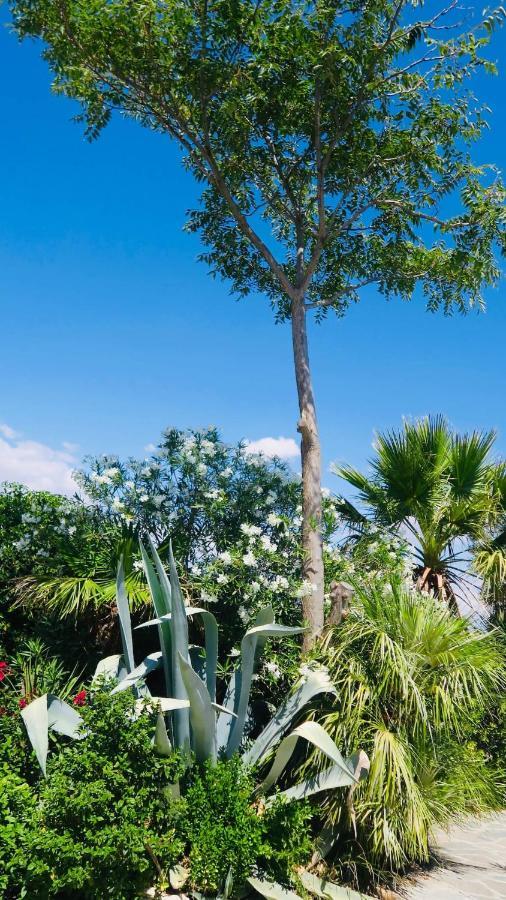 Cortijo Paraiso Charcon Higuera エクステリア 写真