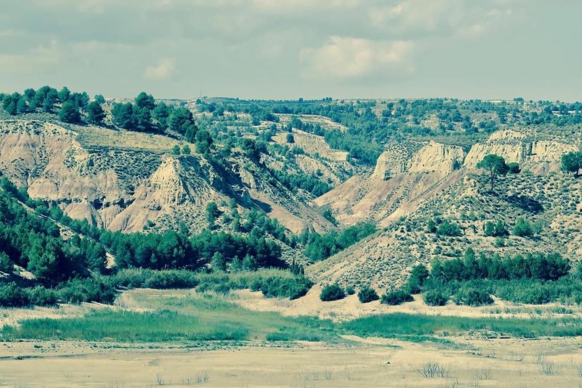 Cortijo Paraiso Charcon Higuera エクステリア 写真