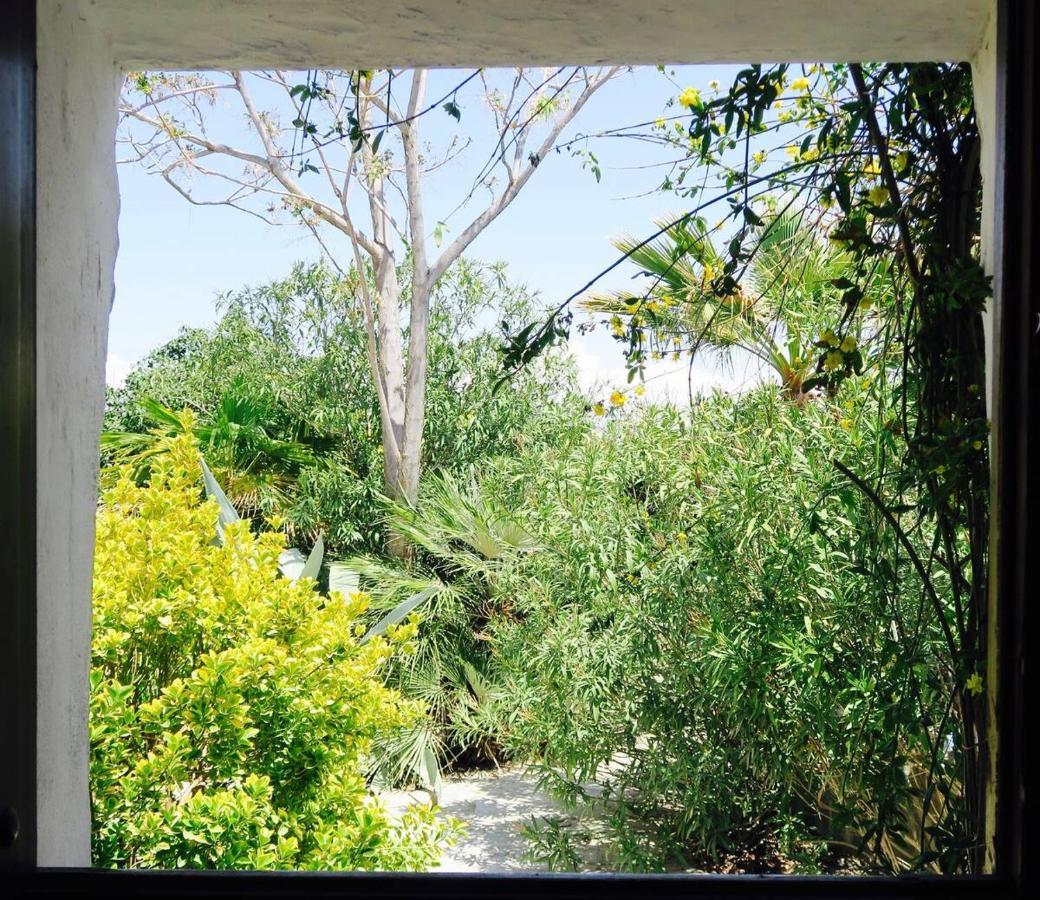 Cortijo Paraiso Charcon Higuera エクステリア 写真