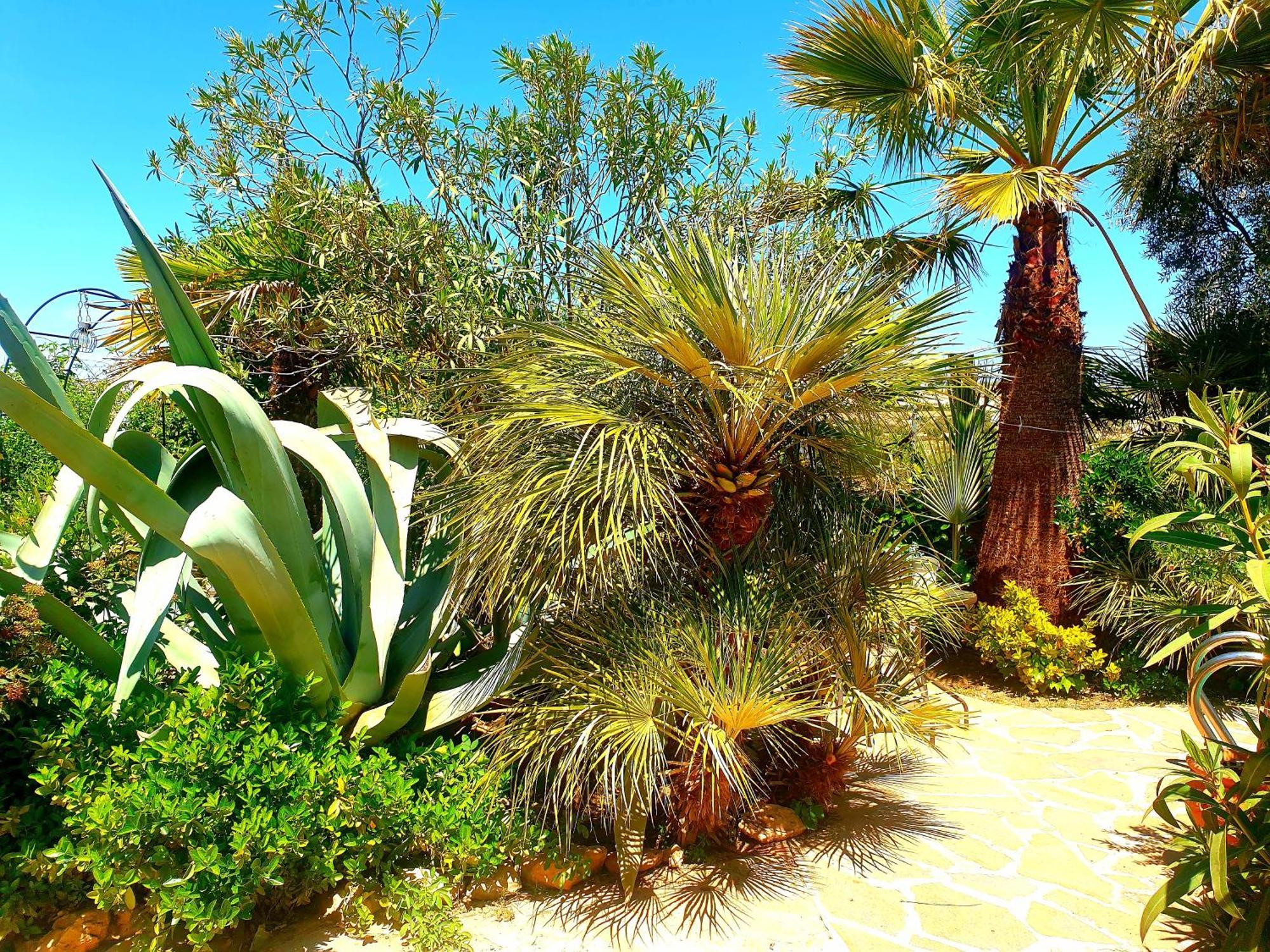 Cortijo Paraiso Charcon Higuera 部屋 写真