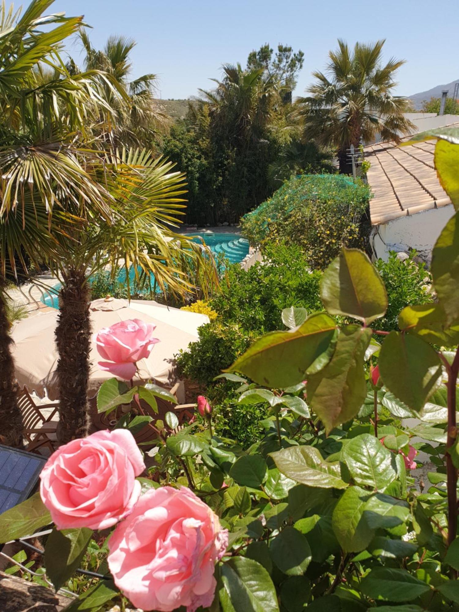 Cortijo Paraiso Charcon Higuera エクステリア 写真